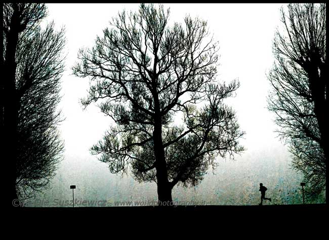 Runner in Fog